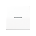 jung AS591KO bed.element a/u schakelaar 1v contr.